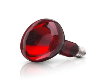 Bóng đèn hồng ngoại
